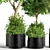 Green Oasis Indoor Plant Set 3D model small image 2