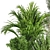 Green Oasis Indoor Plant Set 3D model small image 6