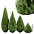 Spartan Taylor Juniper - 4Models with Varying Heights 3D model small image 1