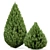Spartan Taylor Juniper - 4Models with Varying Heights 3D model small image 3