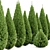 Spartan Taylor Juniper - 4Models with Varying Heights 3D model small image 4
