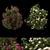 Blooming Bush Collection Vol. 4 3D model small image 1