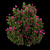 Blooming Bush Collection Vol. 4 3D model small image 2