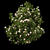 Blooming Bush Collection Vol. 4 3D model small image 3