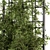 Garden Bliss Ivy & Bush Kit 3D model small image 4