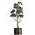 Tropical Olive Tree in Rusty Vase 3D model small image 4