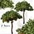 Sweetgum Tree Set: 2 Majestic Liquidambar styraciflua Trees 3D model small image 1