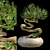 Serene Bonsai Sculpture 3D model small image 1