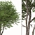 European Nettle Tree Set (2 Trees) 3D model small image 3