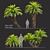 Lush Cycas Revoluta Palm 3D model small image 1