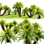 Lush Cycas Revoluta Palm 3D model small image 3