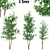 3-Piece Aspen Tree Set 3D model small image 1
