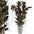 Rustic Concrete Pot Indoor Plant Set 3D model small image 1