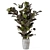 Rustic Concrete Pot Indoor Plant Set 3D model small image 5