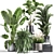 Exotic Plant Collection: Palms, Ferns, and Bananas 3D model small image 1