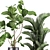 Exotic Plant Collection: Palms, Ferns, and Bananas 3D model small image 4