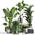 Exotic Plant Collection: Palms, Ferns, and Bananas 3D model small image 6