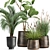 Tropical Plant Collection in Stylish Pots 3D model small image 2