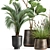 Tropical Plant Collection in Stylish Pots 3D model small image 3