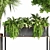 Green Oasis Indoor Plant Set 3D model small image 3