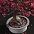 Artificial Bonsai Plant: Exquisite Foliage 3D model small image 4