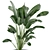 Green Oasis Indoor Plant Collection 3D model small image 3