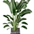 Green Oasis Indoor Plant Collection 3D model small image 4