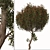 Evergreen Arbutus unedo Tree Set 3D model small image 3