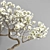 Decorative Bonsai: Indoor Plant 3D model small image 2