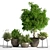 Indoor Greenery Set: Stylish & Lush 3D model small image 1