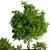 Indoor Greenery Set: Stylish & Lush 3D model small image 3