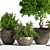 Indoor Greenery Set: Stylish & Lush 3D model small image 4