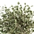 Translate Description: Букет - Зеленая Ветка в вазе 58

Supposed Title: Green Branch Bouquet 3D model small image 2
