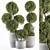 Elegant Topiary Ball Plant Set 3D model small image 1