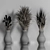 Title: Dried Plants Set: Natural Home Decor 3D model small image 5