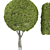 Elegant Decor Tree 3D model small image 2