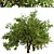 Luscious Lemon Duo: Citrus limon Tree Set 3D model small image 5