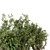 166-Piece Outdoor Bush Set: High-Quality 3D Models 3D model small image 3