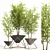 Contemporary Indoor Plant Set 3D model small image 1