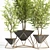 Contemporary Indoor Plant Set 3D model small image 2