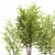 Contemporary Indoor Plant Set 3D model small image 3