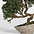 Artistic Bonsai 2015: Indoor Zen 3D model small image 2