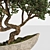 Artistic Bonsai 2015: Indoor Zen 3D model small image 3