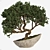 Artistic Bonsai 2015: Indoor Zen 3D model small image 6