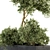 Nature's Haven: Outdoor Plant Set 3D model small image 4