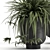 Exotic Plant Collection: Alocasia, Dracaena, Citrus 3D model small image 6