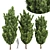 Italian Cypress 3D Trees 3D model small image 1