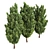 Italian Cypress 3D Trees 3D model small image 3