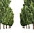 Italian Cypress 3D Trees 3D model small image 4