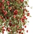 Cascade Blooms Hanging Plant Set 3D model small image 4